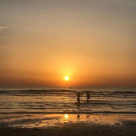 Living オステンド